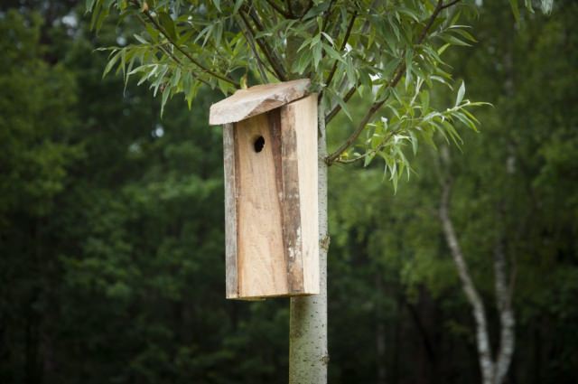 duurzaam nestkastje vogelhuisje gemaakt van restmateriaal